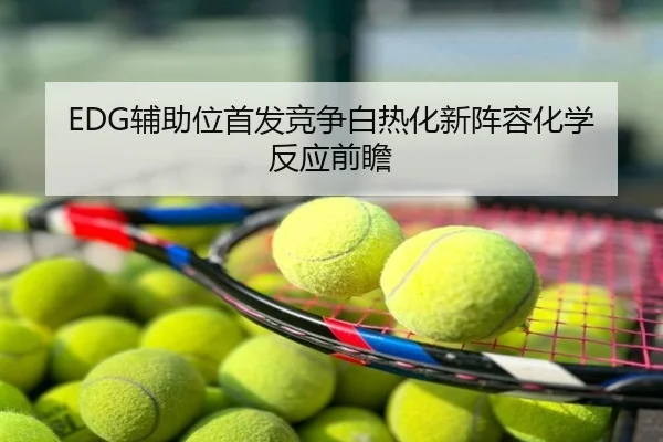 EDG辅助位首发竞争白热化新阵容化学反应前瞻